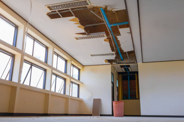 Best Emergency water damage restoration  in Lorado City, CO
