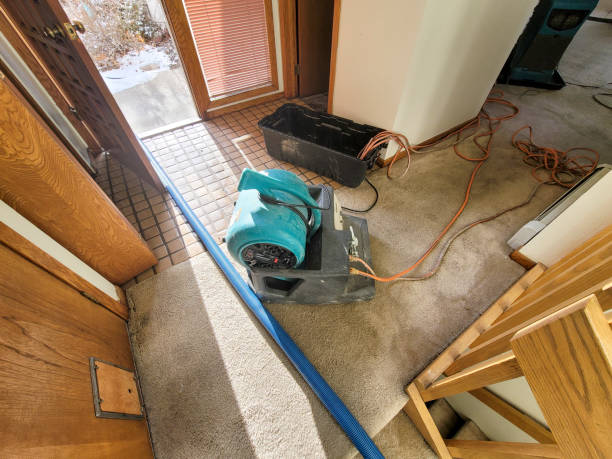 Best Emergency water extraction  in Lorado City, CO