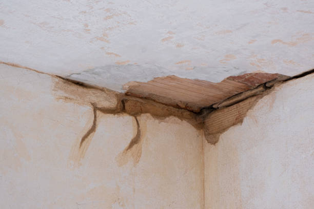 Best Water damage restoration experts  in Lorado City, CO