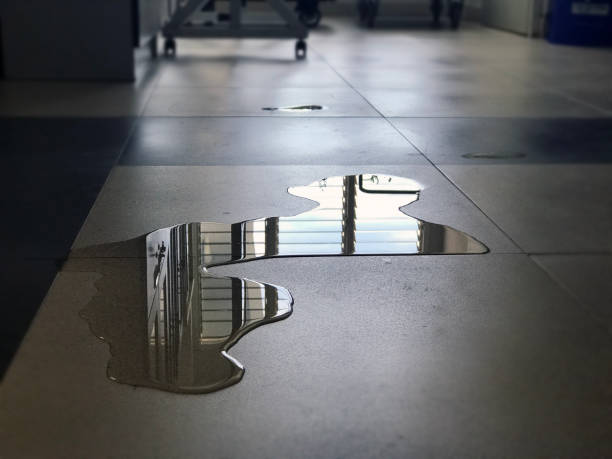 Best Commercial water damage restoration  in Lorado City, CO