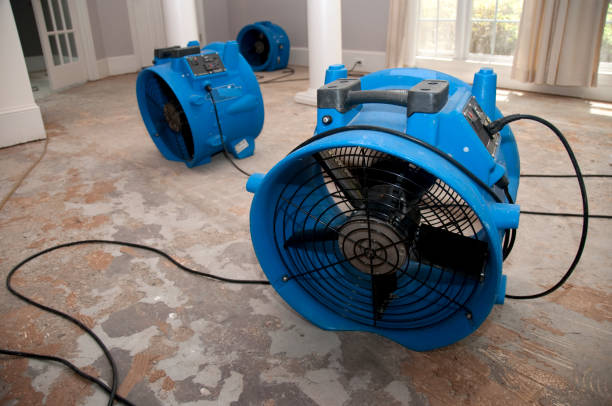 Best Flood damage cleanup  in Lorado City, CO