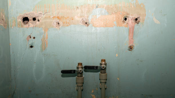 Best Basement water damage restoration  in Lorado City, CO